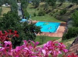 Apartment Cedro Volterra 