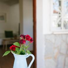 Apartamentos Casa Torres 