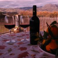Tenuta Antica Cavalleria 