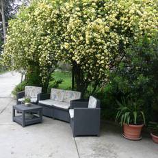 Al Giardino degli Ulivi 