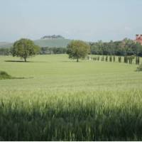 Castello di San Fabiano 