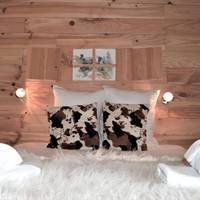 Chalet du Saint Bernard 