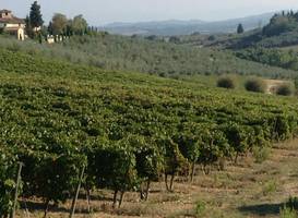 Il Fienile Sotto L'Arco 