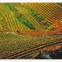 B&B Osteria della Pieve 