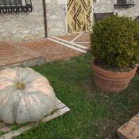 Agriturismo La Conserva 