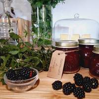B&B Le Quattro Stagioni 
