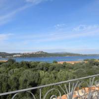 Asfodeli di Marinella 1 