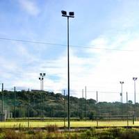 Asfodeli di Marinella 1 