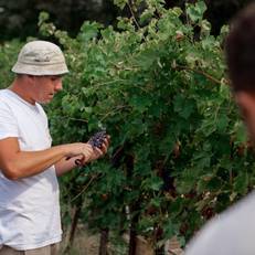 Musella Winery & Relais