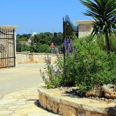 B&B Masseria Peppeturro 
