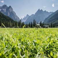 Hotel Passo Monte Croce 
