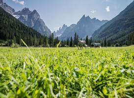 Hotel Passo Monte Croce 