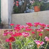 Giardino Dei Limoni B&B 