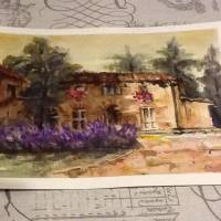 Agriturismo La Segolina 