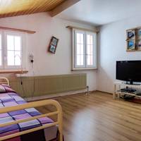 Apartment Seeberg Lenk 