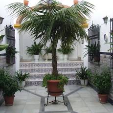 Apartamentos Los Arcos 