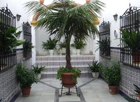 Apartamentos Los Arcos 