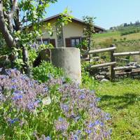 Agriturismo Barbarossa 