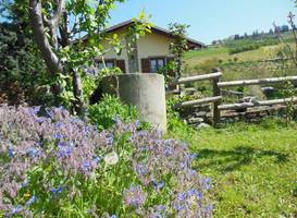 Agriturismo Barbarossa 