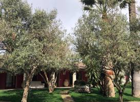 Residence Sa Pintadera 
