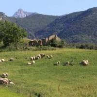 Huerta Cinco Lunas B&B 