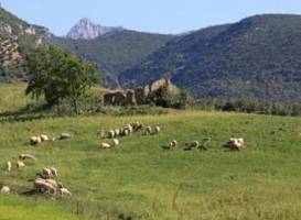 Huerta Cinco Lunas B&B 