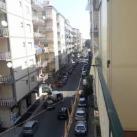 Il Petalo di Cristallo 