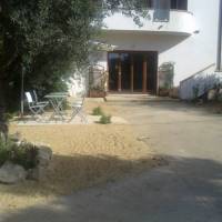 Bio B&B Riccio Volante 