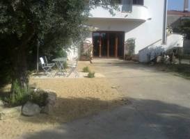 Bio B&B Riccio Volante 
