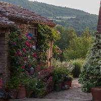 Follonico 4-Suite B&B 