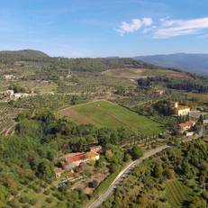 Agriturismo Colognole 