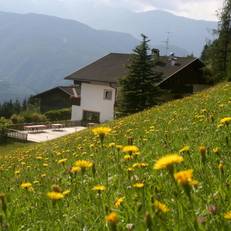 Biogasthaus Plonerhof 