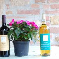 Agriturismo il Poggio 
