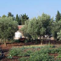 Agriturismo Il Pavone 
