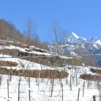 Casa Vacanza La Rocca 