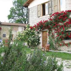 Agriturismo Sanvitale 