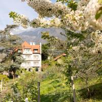 Residence Ladurnerhof 