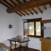 Podere Monte Petreto 