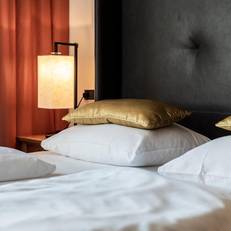 Hotel Goldener Adler 