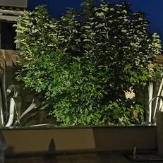 Apartments Mara Cres 