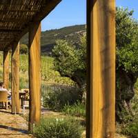 Tenuta Delle Ripalte 