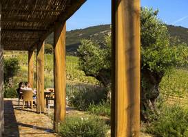 Tenuta Delle Ripalte 