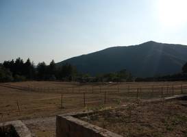 Agriturismo Le Vigne 