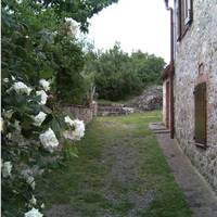 Agriturismo Olivello 