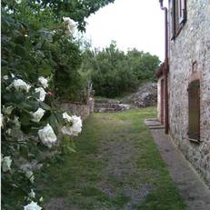Agriturismo Olivello 