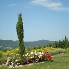 Aquaviva Hotel & Spa 