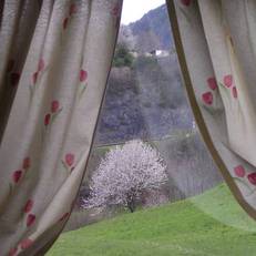 Agritur Maso Pertica 