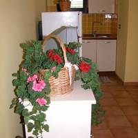 Residence Perla Rosa