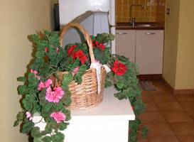 Residence Perla Rosa 