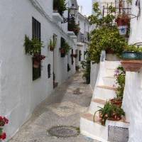Hotel Rural Almazara 